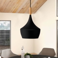 1-Light Matte Black Industrial Hanging Pendant Light for Dining Room, Bars, Warehouse
