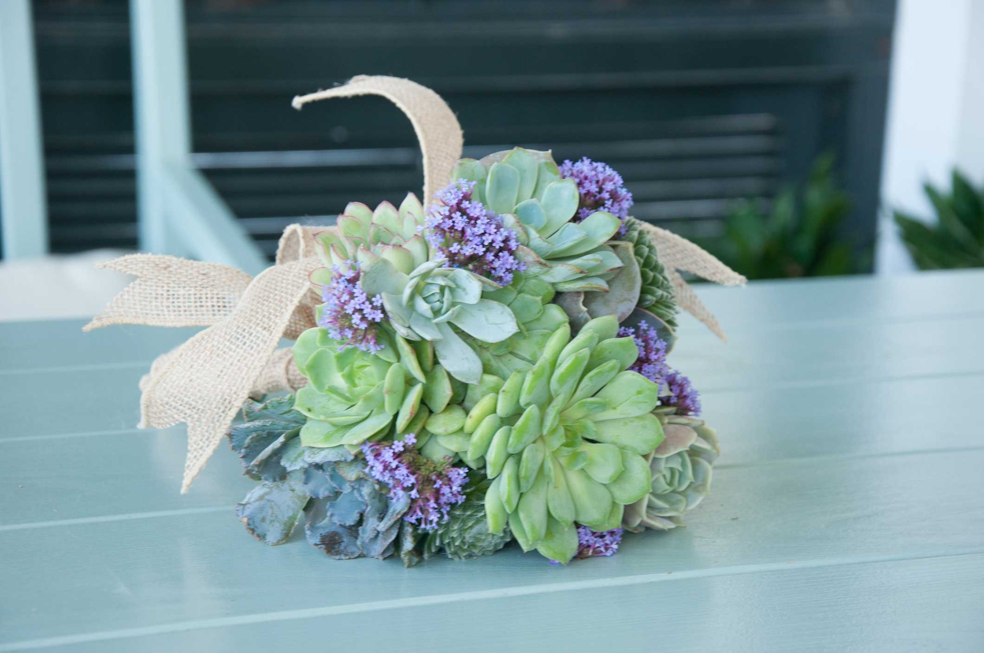 Where are the succulents used at the wedding?