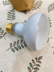 EvaStary Ultraviolet ray lamps, not for medical purposes, BR30 or CFL Tube Germicidal UV Sanitizer Light Bulb 25W 185nm/254nm with Ozone E26 Base Bulb